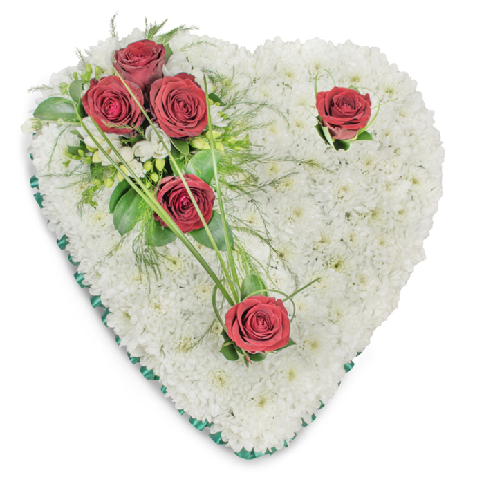 A lovingly composed heart-shaped wreath, crafted entirely from hundreds of tiny, immaculate white chrysanthemum heads, occupies the frame against a pure white backdrop. The chrysanthemums are arranged so densely that the surface appears as a soft, pillowed field - tactile and matte - suggesting serenity and reverence. A delicate emerald green satin ribbon trims the perimeter, its satiny edge defining the heart's clean line and adding a formal, respectful accent to the composition.
On the upper left a poignant cluster of three deep red roses gathers with intent; their petals are fully opened, plush and velvety, their colour a solemn, striking crimson that reads as love and deep respect. These are nestled among glossy broad leaves, airy fern-like fronds, and a few slender blades of bear grass that arch outward like quiet hands. Two further red roses are placed with thoughtful restraint - one along the upper right curve and one at the lower point of the heart - each surrounded by minimal foliage and tiny white filler blooms that let the roses breathe visually. The lighting is soft and even, creating gentle shadows that reveal the arrangement's depth and the chrysanthemum texture.
As a Fortis Green florist with many years arranging sympathy tributes, I would describe the scent as a light, green floral hum beneath the roses' warmer note. This traditional memorial heart, prepared by Florist Fortis Green, is intended to convey steady comfort and lasting remembrance for families around Fortis Green, Muswell Hill and nearby parks when words alone feel insufficient.