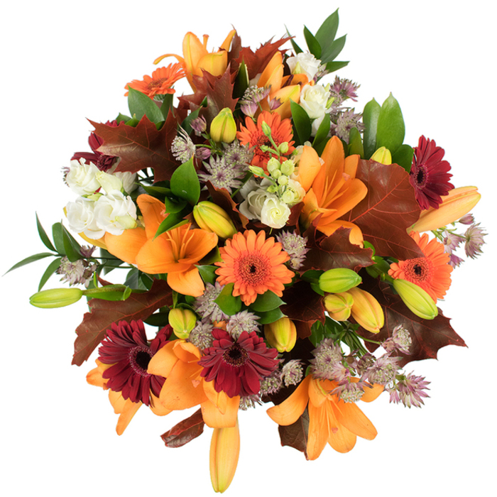 A richly textured, slightly elevated view of an autumnal hand-tied bouquet, built around several prominent, fully opened orange Asiatic lilies whose petals unfurl like small, luminous trumpets. The lilies are supported by a chorus of tightly closed buds in pale orange and fresh green, giving the composition a natural cadence of opening and promise. Vivid orange Gerbera daisies alternate with deep burgundy Gerberas, their flat, sun-like heads providing cheerful punctuation against the lilies' vertical drama. Intermingled are creamy white Lisianthus with layered, frilly petals that soften the stronger tones and offer a gentle, romantic counterpoint. Fine sprays of dusty purple Astrantia add an architectural delicacy - star-shaped florets that create textured pockets of interest. Large, lobed leaves in reddish-brown and deep maroon are artfully inserted to echo fallen oak leaves, reinforcing the autumn story; smaller green leaves and slender stems provide backbone and a fresh, vegetal contrast. The arrangement is densely packed, lush and meticulously balanced, photographed on a pure white backdrop with bright, even light so that shadows are minimal and colours read with clarity. The overall impression is warm, abundant and celebratory - an arrangement that brings the tactile pleasures of a country hedgerow into the home. It's the kind of seasonal piece I might deliver across Fortis Green and nearby streets for an autumn dinner, a birthday in November, or as a thoughtful thank-you that carries the scent and mood of harvest and hearth.